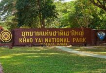 เที่ยวเขาใหญ่ไม่ใช้รถส่วนตัว เดินทางง่าย จุดเช็คอินเพียบ เที่ยวเขาใหญ่ไม่ใช้รถส่วนตัว