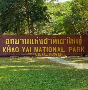 เที่ยวเขาใหญ่ไม่ใช้รถส่วนตัว เดินทางง่าย จุดเช็คอินเพียบ เที่ยวเขาใหญ่ไม่ใช้รถส่วนตัว