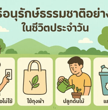 เราจะเริ่มอนุรักษ์ธรรมชาติในชีวิตประจำวันได้อย่างไร 10 วิธีอนุรักษ์ธรรมชาติอย่างง่ายในชีวิตประจำวัน