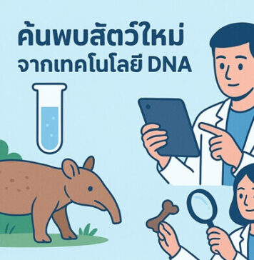 ค้นพบสัตว์ใหม่จากเทคโนโลยี DNA เปิดโลกชีววิทยาที่คุณไม่เคยรู้ ค้นพบสัตว์ใหม่จากเทคโนโลยี DNA