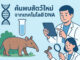 ค้นพบสัตว์ใหม่จากเทคโนโลยี DNA เปิดโลกชีววิทยาที่คุณไม่เคยรู้ ค้นพบสัตว์ใหม่จากเทคโนโลยี DNA