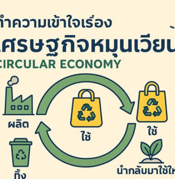 เศรษฐกิจหมุนเวียนคืออะไร เปลี่ยนของใช้เก่าให้กลับมามีค่าได้อย่างไร ทำความเข้าใจเรื่อง Circular Economy (เศรษฐกิจหมุนเวียน)
