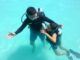 เคลียร์ชัด! ว่ายน้ำไม่เป็น สามารถเรียนดำน้ำ Scuba ได้ไหม เคลียร์ชัด! ว่ายน้ำไม่เป็น สามารถเรียนดำน้ำ Scuba ได้ไหม
