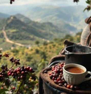 กาแฟเกิดขึ้นได้อย่างไร? ประวัติย่อจากตำนานบนภูเขาสู่เครื่องดื่มของโลก กาแฟเกิดขึ้นได้อย่างไร? ประวัติย่อจากตำนานบนภูเขาสู่เครื่องดื่มของโลก